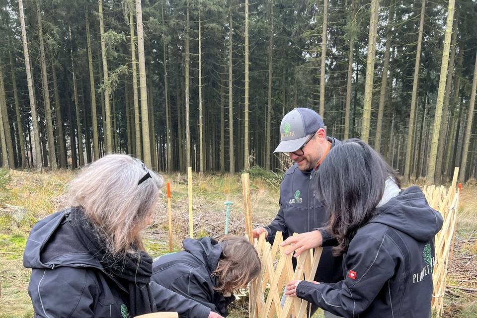 Pflanzaktion mit Holz-Wuchshüllen bei Königstein