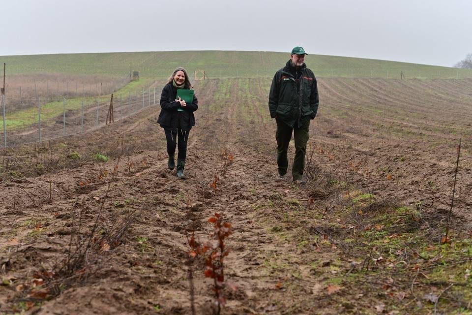 Unterwegs auf der frisch bepflanzten Fläche